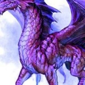 Meet your Posher, Jeff